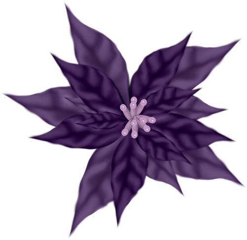 Small Flowers, Christmas Clipart, Views Album, Flower - Small Flowers, Christmas Clipart, Views Album, Flower (500x486)