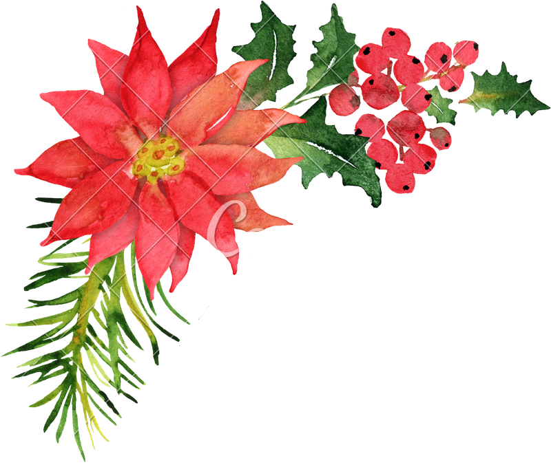 Bouquet Clipart Christmas - Bouquet Clipart Christmas (800x679)