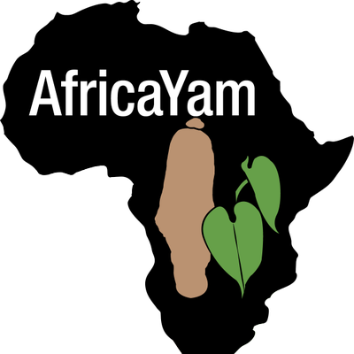 Africayam On Twitter - Africayam On Twitter (400x400)
