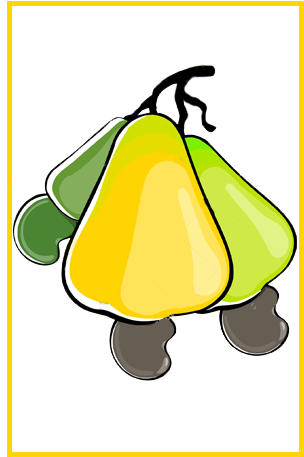 Currently Eastern Cashew Runs One Cashew Factory In - Currently Eastern Cashew Runs One Cashew Factory In (310x472)