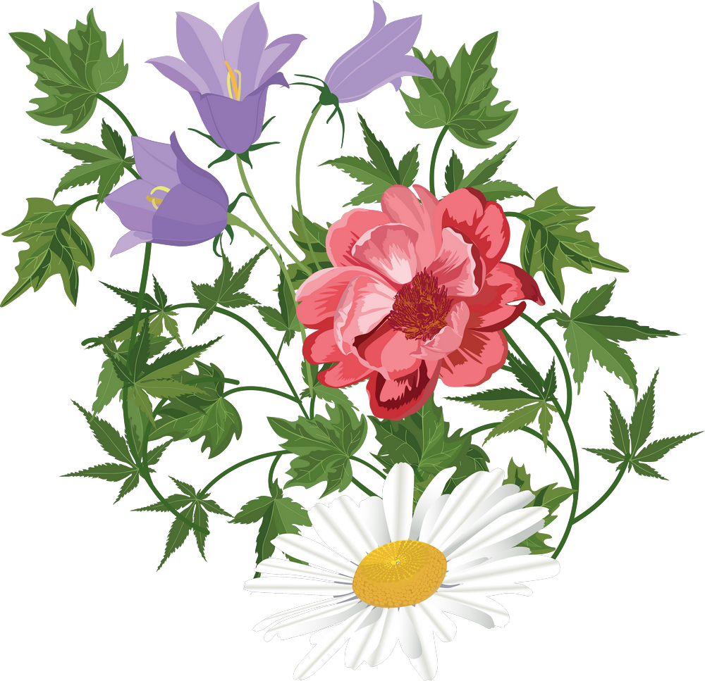 Flower Floral Design Clip Art Transprent - Flower Floral Design Clip Art Transprent (1000x967)