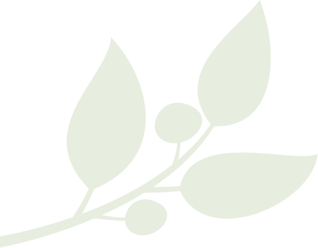 Twenty Five Years Ago, We Began As A Small Scale Natural - Twenty Five Years Ago, We Began As A Small Scale Natural (462x360)