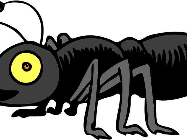 Millipede Clipart Tennessee - Millipede Clipart Tennessee (640x480)
