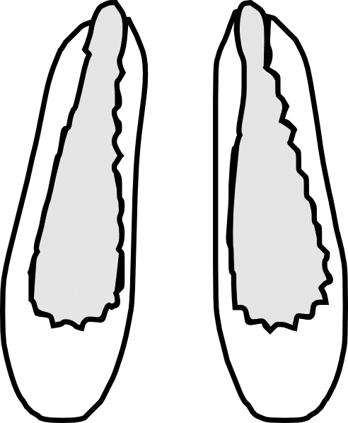 Shoes Clipart - Shoes Clipart (492x598)