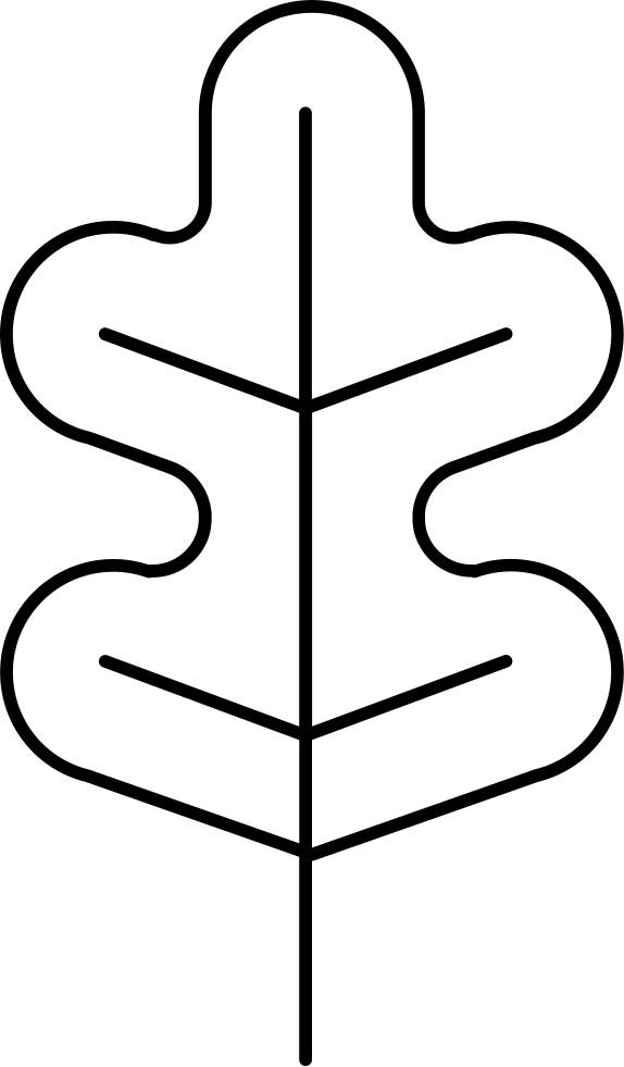 Curved Leaf Variant Comments - Curved Leaf Variant Comments (574x981)