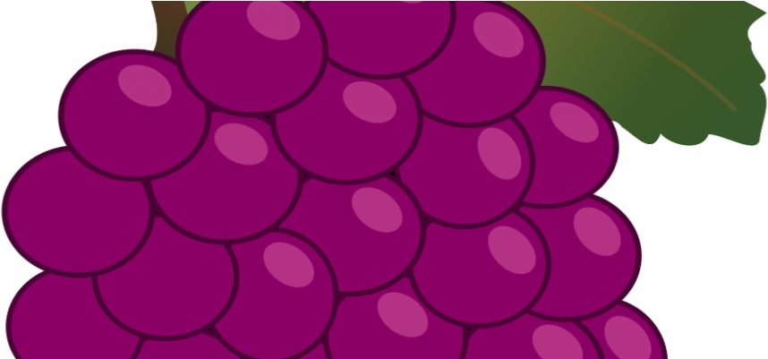 We Want To Thank Total Wine & More For Supporting Our - We Want To Thank Total Wine & More For Supporting Our (1000x400)
