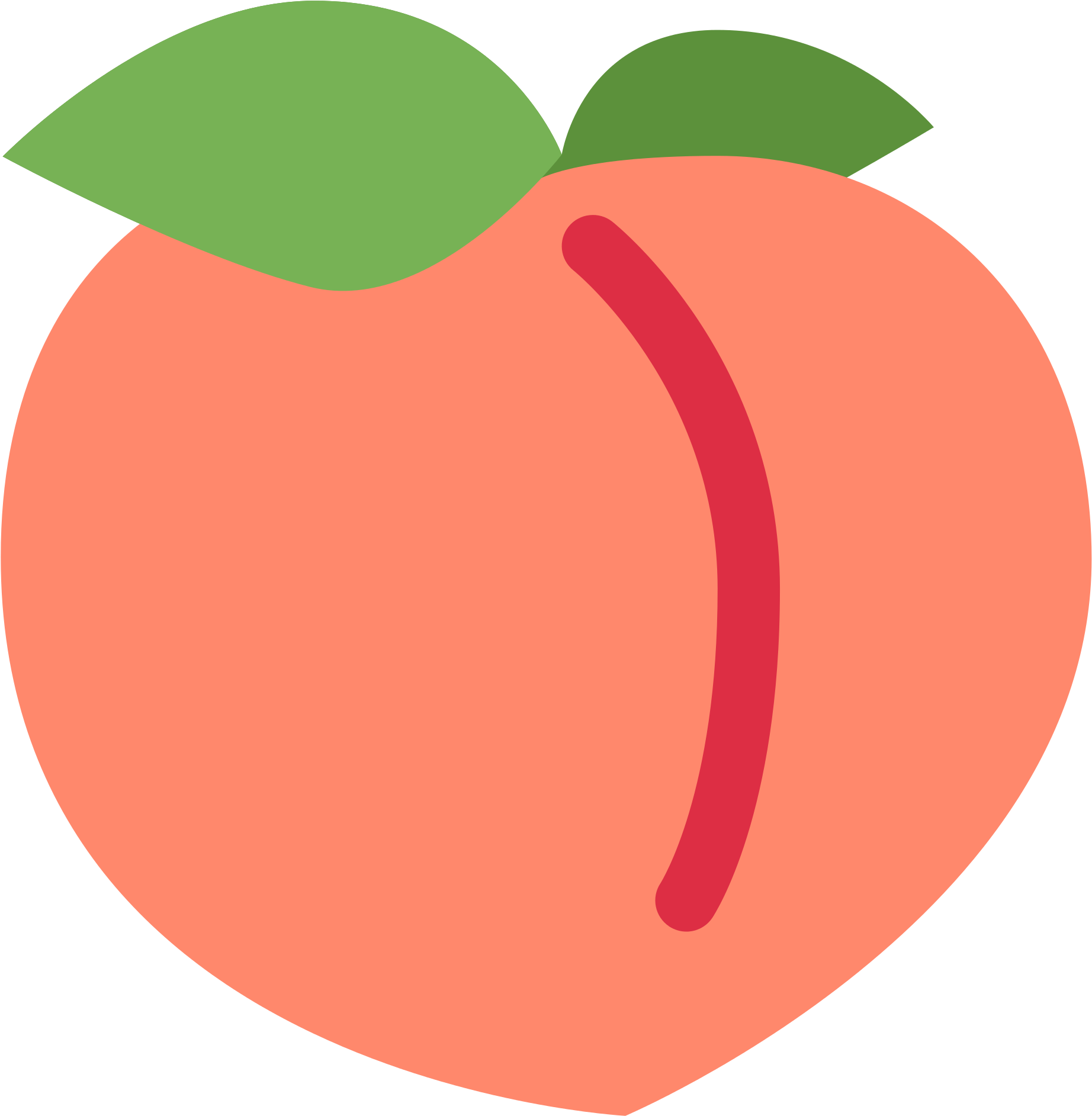 Collection Of Peach Drawing Png High Ⓒ - Collection Of Peach Drawing Png High Ⓒ (2000x2000)