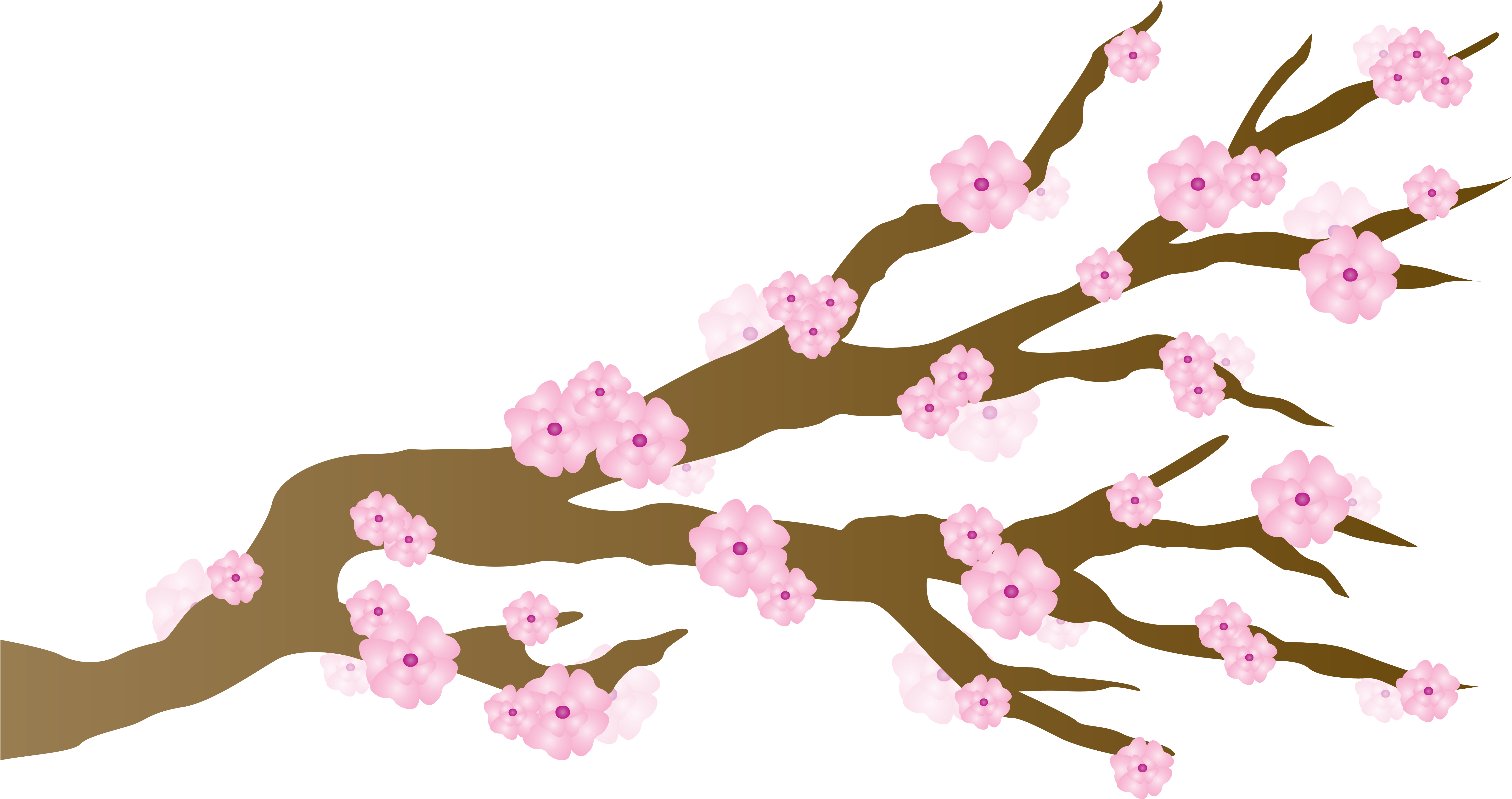 Pink Cherry Blossoms Japanese Draft Free Image Clipart - Pink Cherry Blossoms Japanese Draft Free Image Clipart (6600x5100)