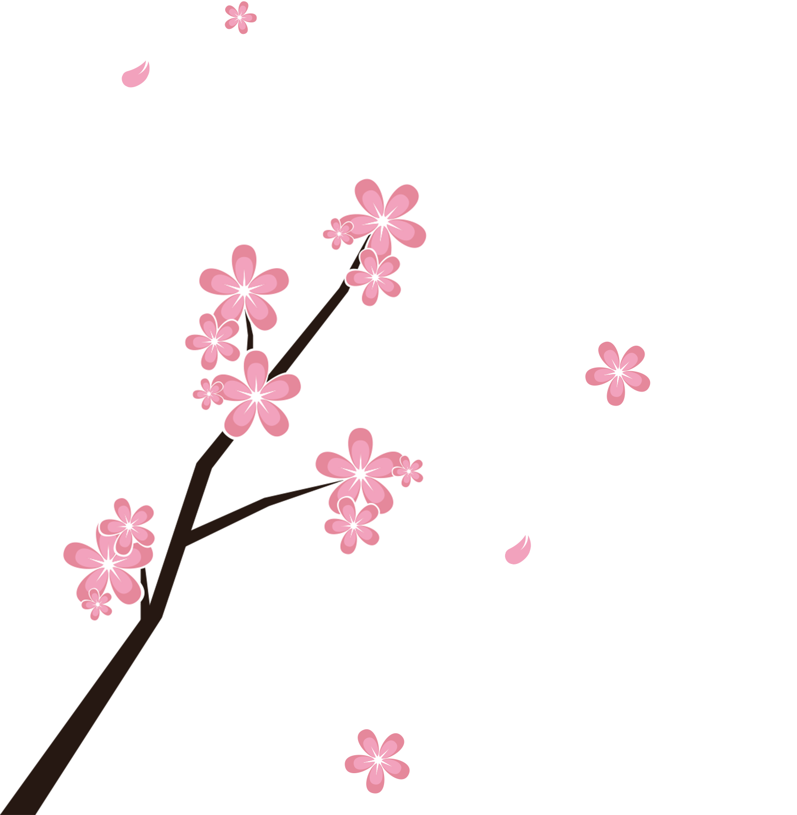 Japan Blossom Branches And Petals Transprent Png - Japan Blossom Branches And Petals Transprent Png (1600x1636)