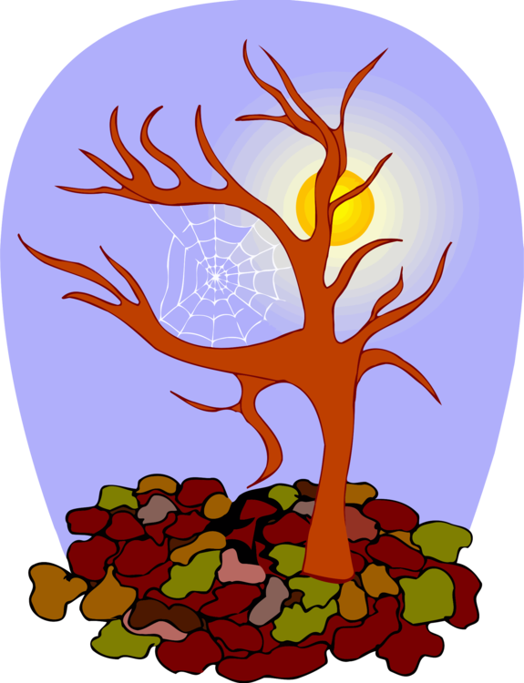 All Photo Png Clipart - All Photo Png Clipart (575x750)