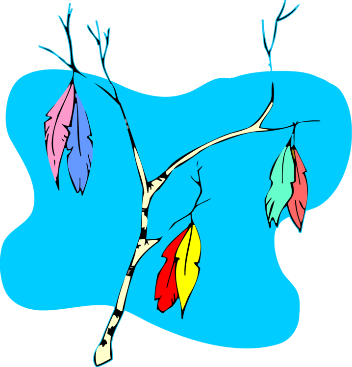 All Photo Png Clipart - All Photo Png Clipart (718x750)