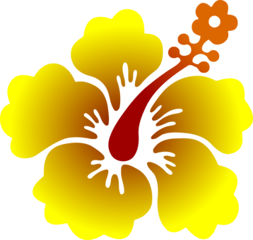 Shoeblackplant Caribbean Flowers Hawaiian Hibiscus - Shoeblackplant Caribbean Flowers Hawaiian Hibiscus (358x340)