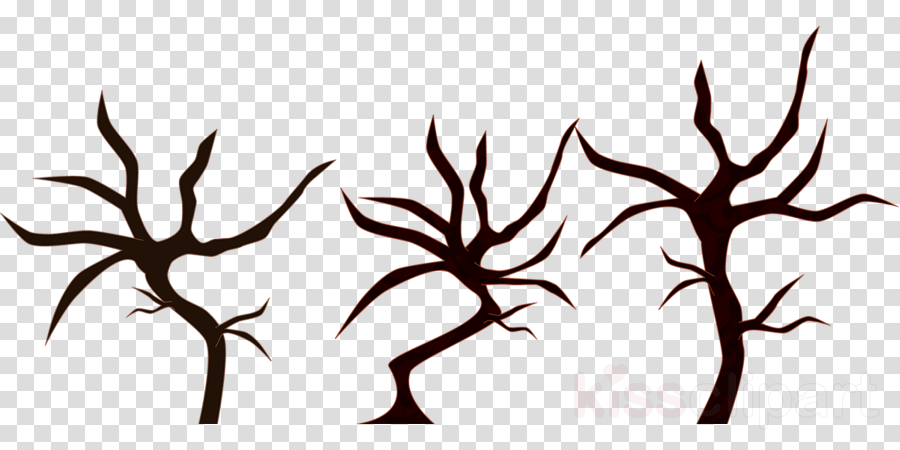 Cherry Blossom Tree Trunk Clip Art Clipart Cherry Blossom - Cherry Blossom Tree Trunk Clip Art Clipart Cherry Blossom (900x450)