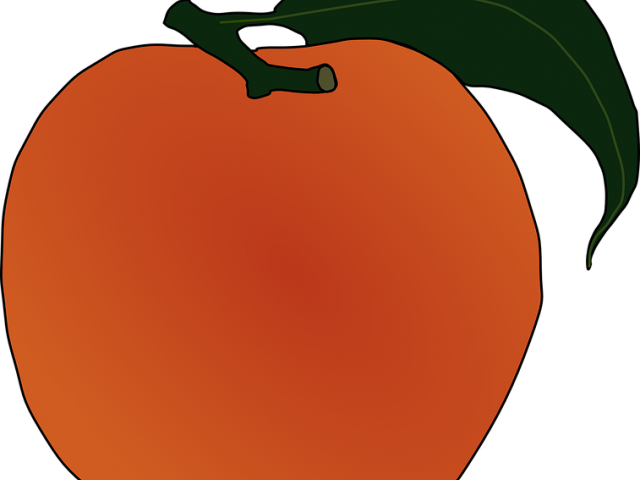 Peach Clipart Ripe Fruit - Peach Clipart Ripe Fruit (640x480)