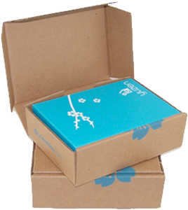 Guitar Shipping Box Transparent Background - Guitar Shipping Box Transparent Background (383x450)