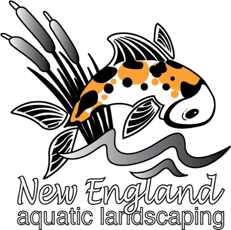 Pond & Waterfall Builder, Landscaping, Massachusetts - Pond & Waterfall Builder, Landscaping, Massachusetts (473x485)
