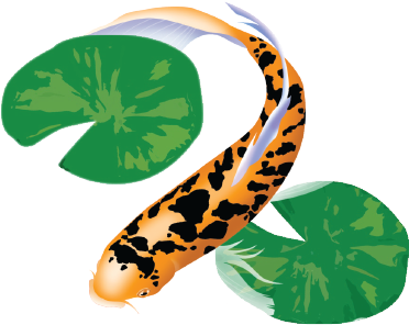 Pond Clarifier 10 Pack Pail - Pond Clarifier 10 Pack Pail (371x383)