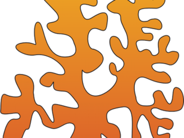 Algae Clipart Pond Reed - Algae Clipart Pond Reed (640x480)