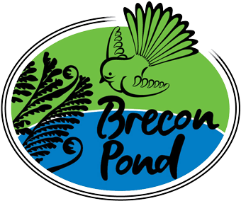 Brecon Pond - Brecon Pond (350x350)