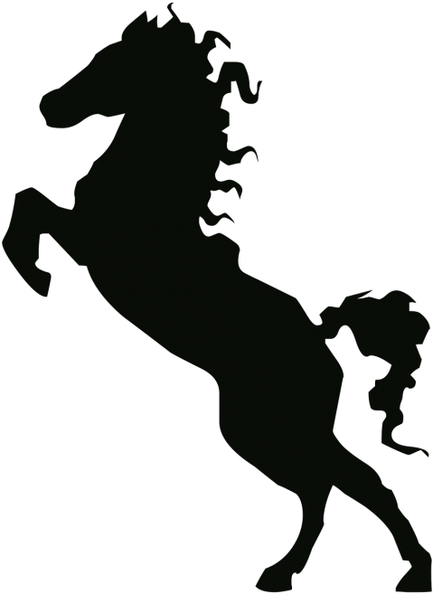 Cheetah Print Border Clip Art (500x676)