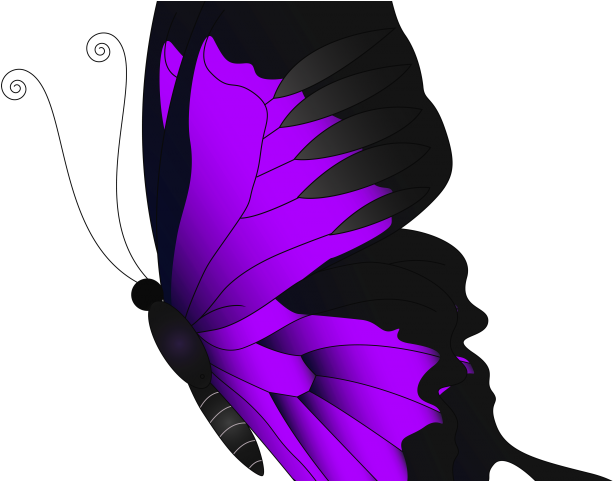 Feather Clipart Butterfly - Feather Clipart Butterfly (640x480)