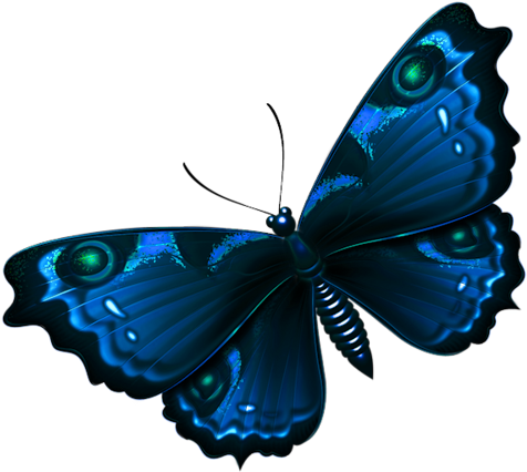 Bug Images, Butterfly Dragon, Butterfly Images, Dragonflies, - Bug Images, Butterfly Dragon, Butterfly Images, Dragonflies, (500x447)