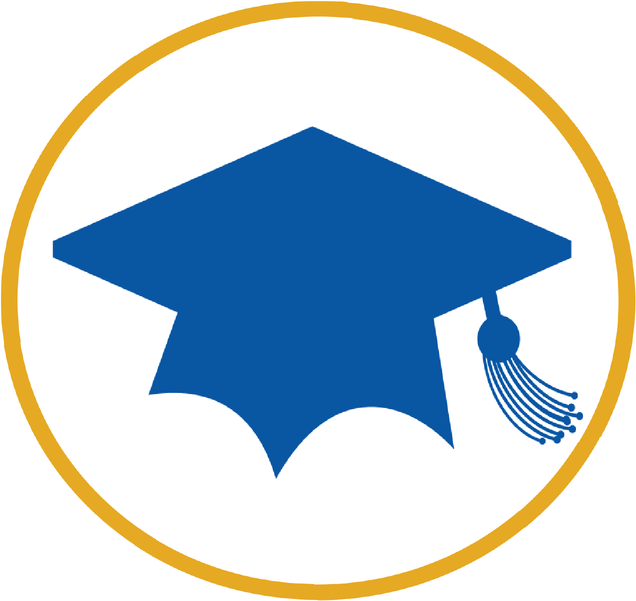 Custom Academic & Professional Programs - Custom Academic & Professional Programs (1272x1202)