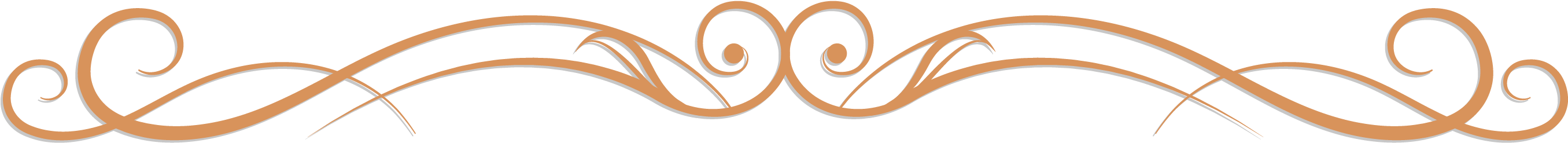 Part-time Paid Designated Drivers Needed - Part-time Paid Designated Drivers Needed (2721x292)