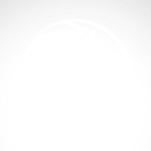Drawing Lions Head - Drawing Lions Head (600x600)