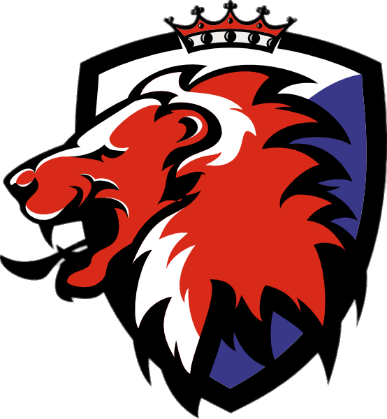 Lion Head Logo Png - Lion Head Logo Png (554x600)
