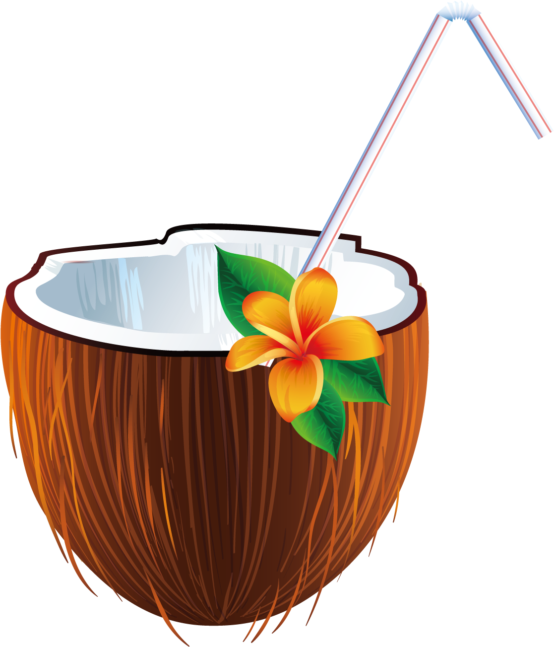 Coconut Clipart Coconut Bra - Coconut Clipart Coconut Bra (1500x1500)