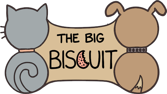 The Big Biscuit Coupon - The Big Biscuit Coupon (541x306)