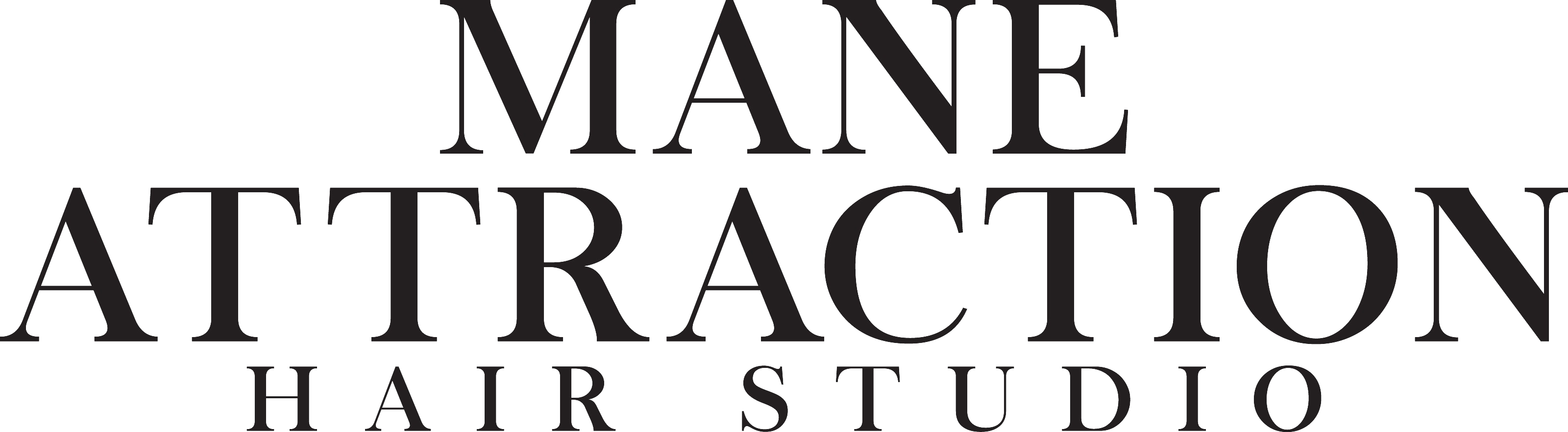 Mane Attraction Hair Studio - Mane Attraction Hair Studio (3200x883)