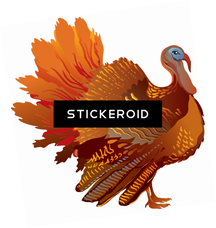 Thanksgiving Sideview Turkey - Thanksgiving Sideview Turkey (717x756)