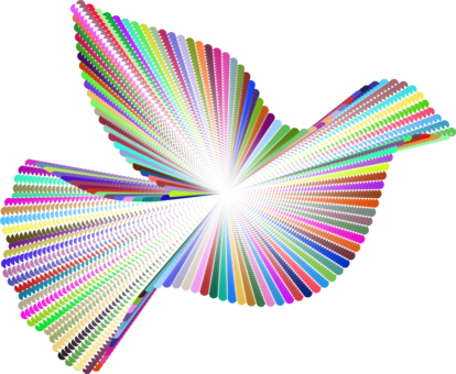 Bird Pigeons And Doves Video Public Domain Animal - Bird Pigeons And Doves Video Public Domain Animal (414x340)