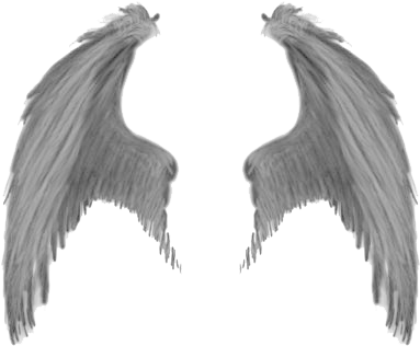 Wings Png Images Free Download Angel Wings Png - Wings Png Images Free Download Angel Wings Png (400x324)