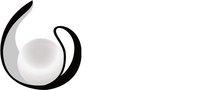 Pearl Limo Bus Logo - Pearl Limo Bus Logo (700x300)