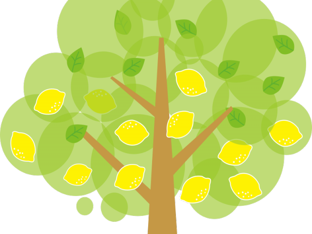 Shapes Clipart Lemon - Shapes Clipart Lemon (640x480)