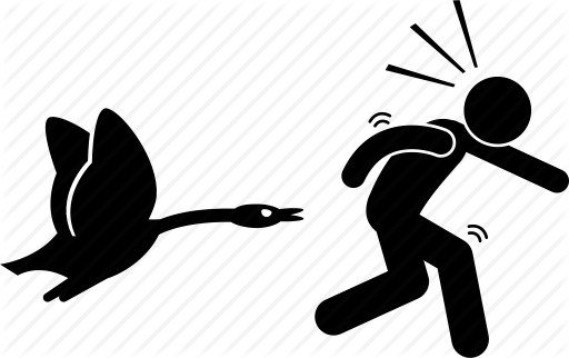 Animal Attack Bird Chase - Animal Attack Bird Chase (512x322)