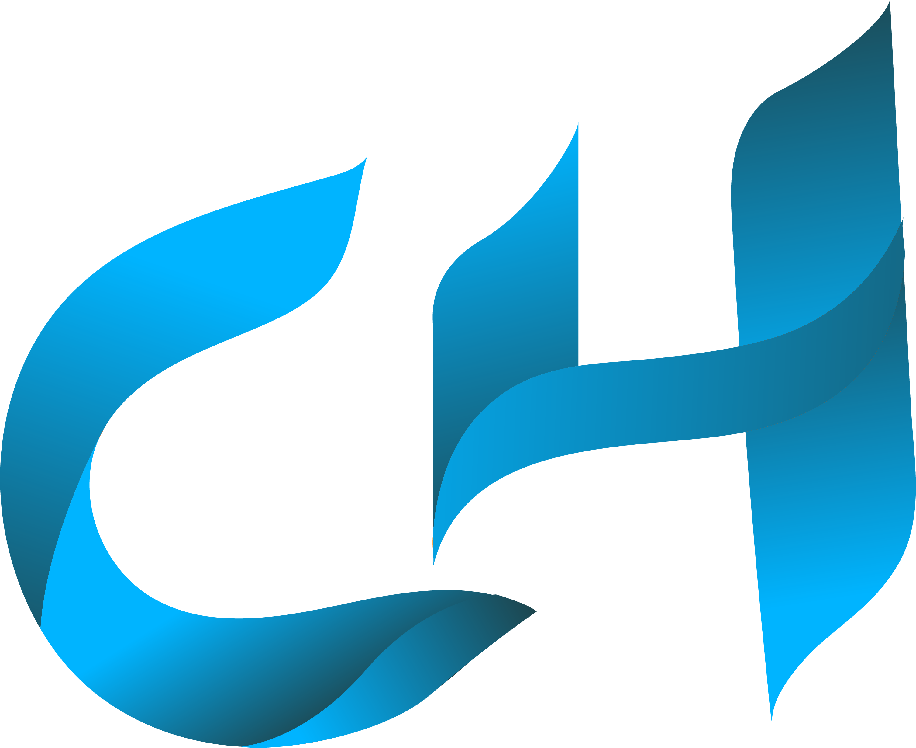 Chase Hoffman - Chase Hoffman (3014x2459)