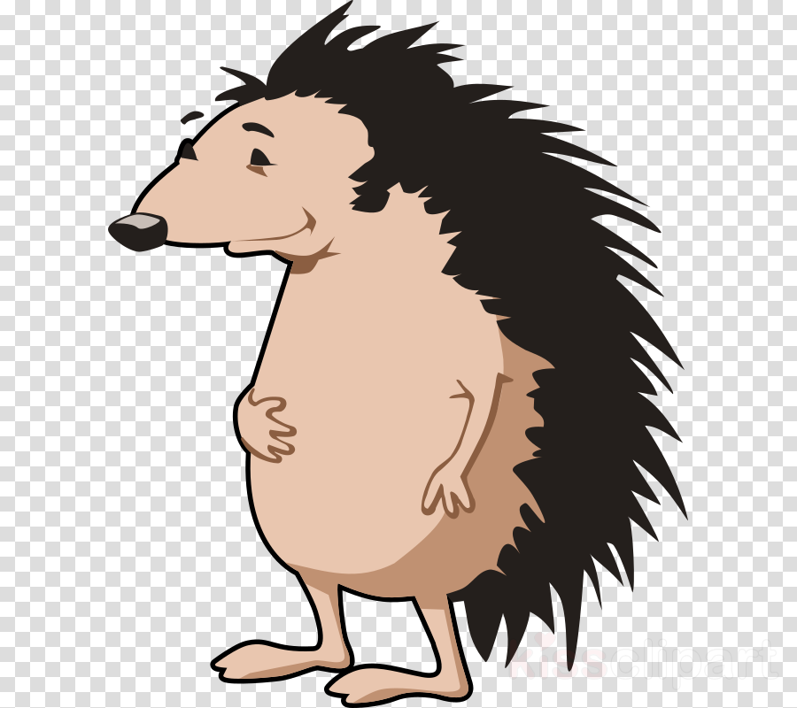 Custom Cartoon Hedgehog Shower Curtain Clipart Hedgehog - Custom Cartoon Hedgehog Shower Curtain Clipart Hedgehog (900x800)