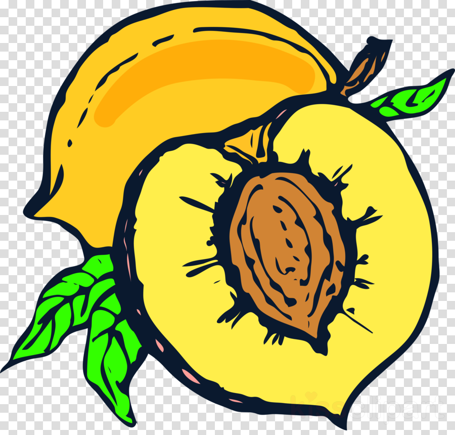 Peach Shower Curtain Clipart Juice Peach Clip Art - Peach Shower Curtain Clipart Juice Peach Clip Art (900x860)