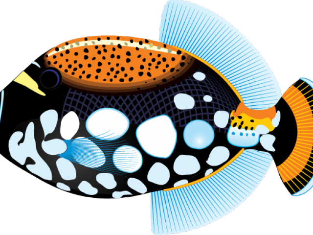 Tropical Fish Clipart Hawaii Fish - Tropical Fish Clipart Hawaii Fish (640x480)