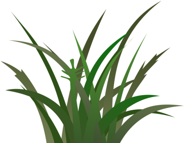 Lawn Clipart Tropical Grass - Lawn Clipart Tropical Grass (640x480)