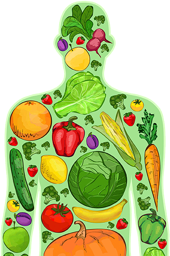 Clip Art Transparent - Clip Art Transparent (454x531)