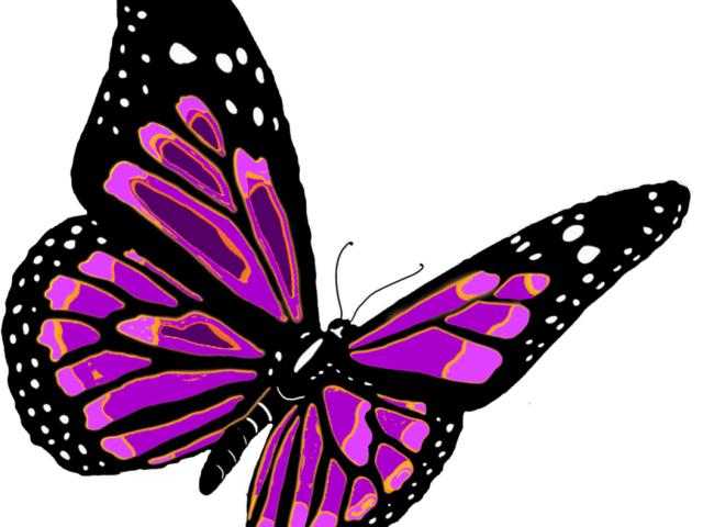 Monarch Butterfly Clipart Cartoon - Monarch Butterfly Clipart Cartoon (640x480)