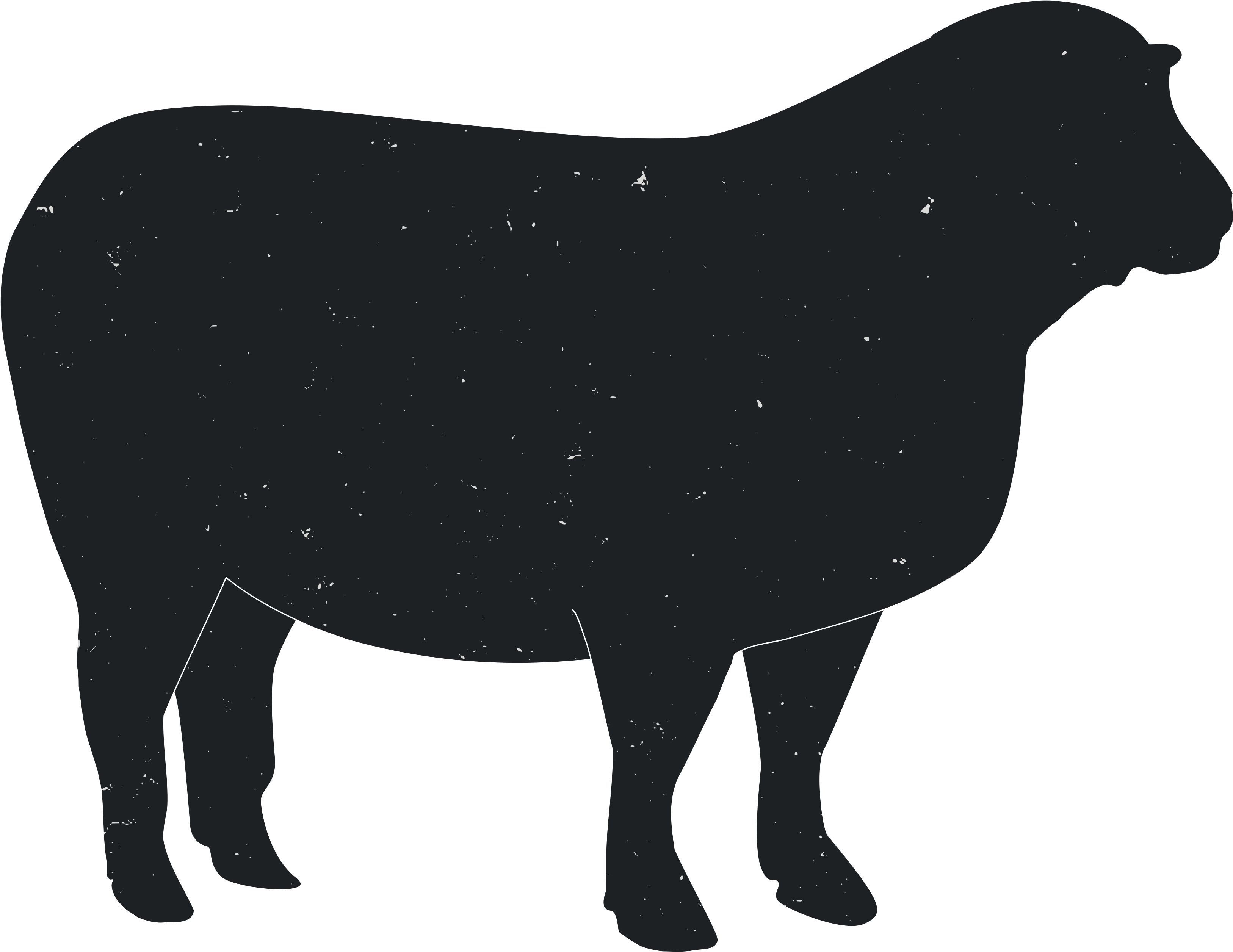 Cattle Ox Animal Silhouettes Transprent Png Free Ⓒ - Cattle Ox Animal Silhouettes Transprent Png Free Ⓒ (3600x3600)