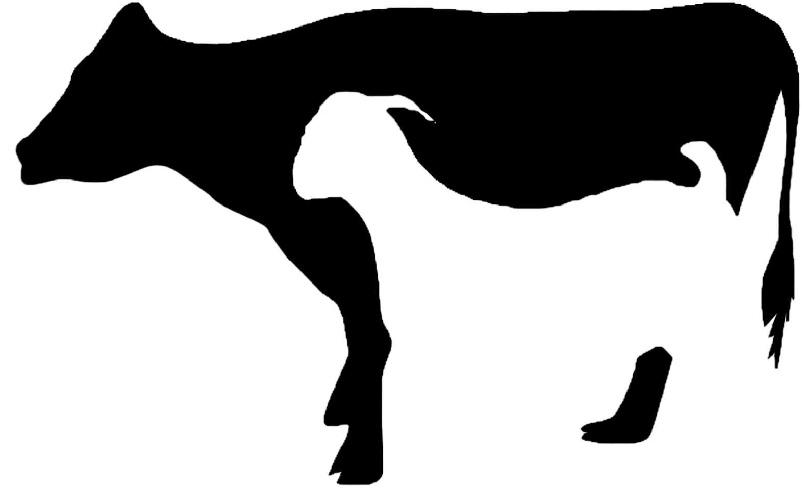 Clipart Goat Kambing - Clipart Goat Kambing (1600x1108)
