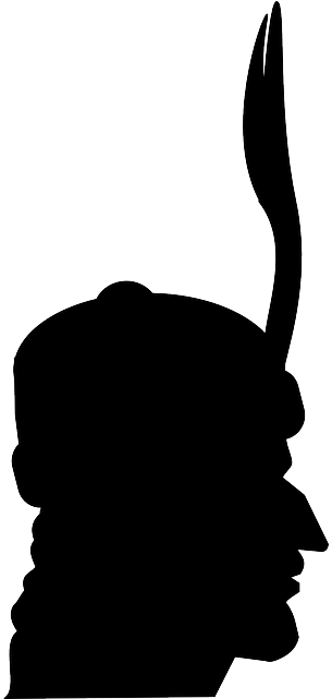 Indian, Vampire, Man, Profile, Silhouette - Indian, Vampire, Man, Profile, Silhouette (320x640)