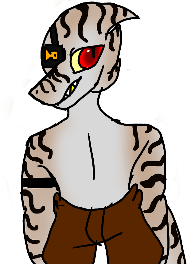 Mako The Zebra Bullhead Shark - Mako The Zebra Bullhead Shark (640x860)